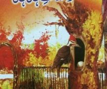 Karishmat e Hud Hud Old Amliyat Book PDF Free Download