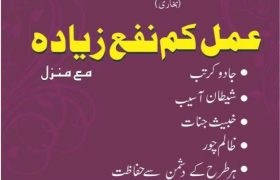 Amal Kam Nafha Ziada Mah Manzil PDF Free Download