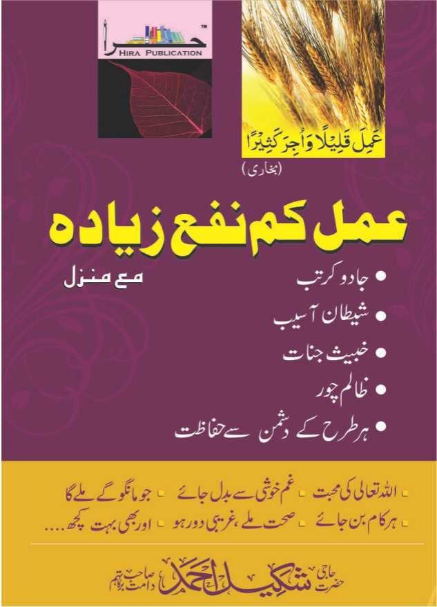 Amal Kam Nafha Ziada Mah Manzil PDF Free Download
