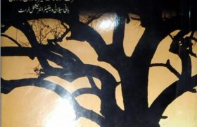 Shaitani Asraat Ka Rohani ilaaj PDF Free