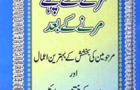 Marny Se Pehly Marny K Bahd PDF Free Download,