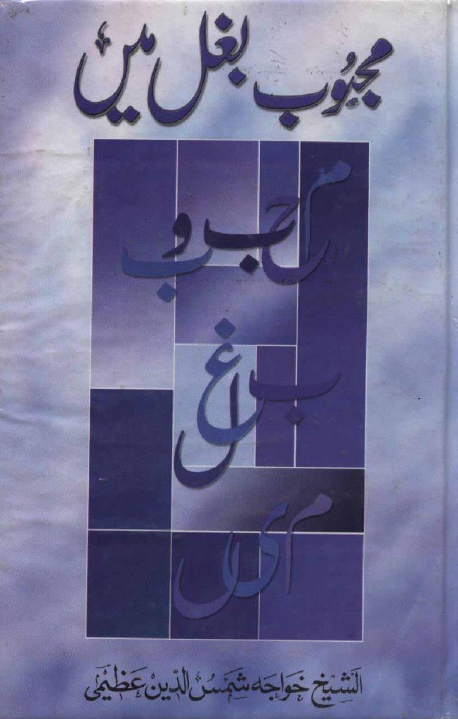Mehboob Baghul Mein PDF Free Download