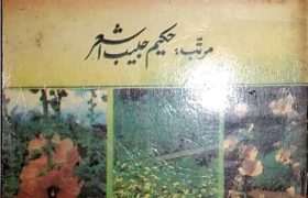 Akseeri Nuskhay PDF Free Download