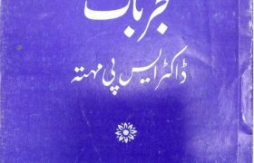 Sadhu Sanyasi Aur Jogiyon K Mujarbaat PDF Free