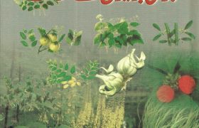 Shifa Bakhsh Jari Botion K Asraat PDF Free Download