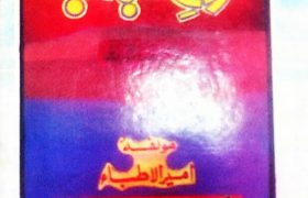 Arooj e Shabab PDF Free Download