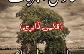 Fanoos ul Mujrbat Qalmi Dairy PDF Free