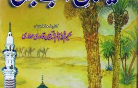 Faizan e Tibb e Nabvi PDF Free Download